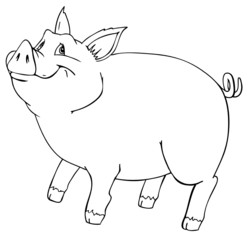 Schwein, Sau, Eber, Bauernhof, Farm