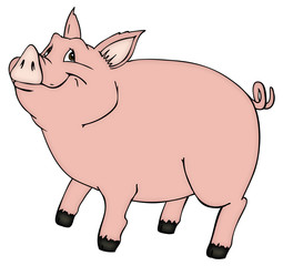 Schwein, Sau, Eber, Bauernhof, Farm