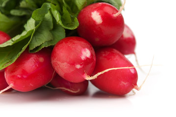 a bunch of radishes