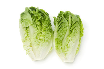 lettuce