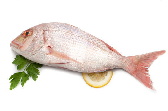 red snapper with slice lemon and parsley