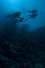 Silhouette of divers