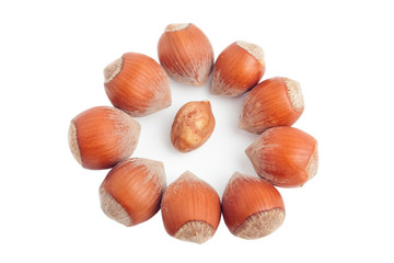 Circle of hazelnuts surrounding kernel in the center on white