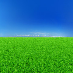 Sunny background with green grass and blue sky