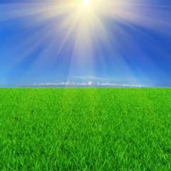 Sunny background with green grass and blue sky