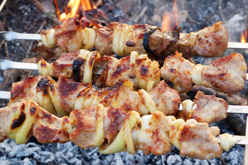 shish kebab on skewers and hot coals