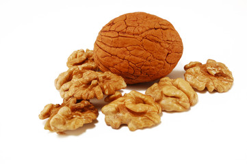 Walnut