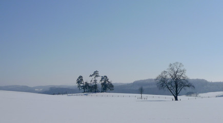 Fototapeta premium Winter