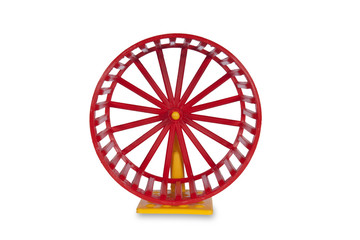 Wheel for rodents