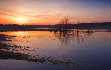 Fototapeta na wymiar Spring landscape. Sunset.