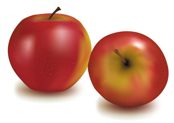 Photo-realistic vector illustration. Two red apples.