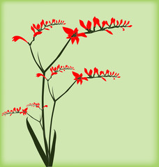 Beautiful freesia greeting card