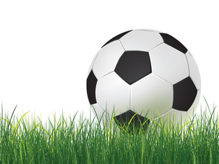 Fototapeta premium Soccer ball