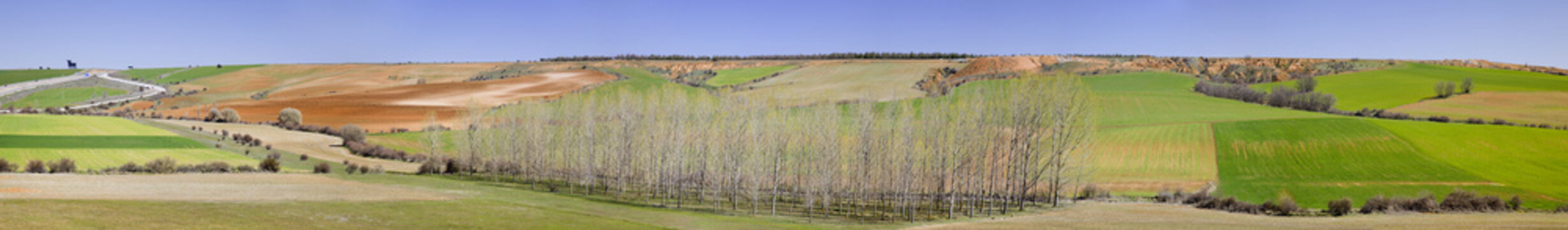 Campos de Castilla