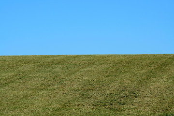 Obraz premium Green field and blue sky