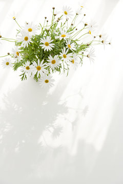 マーガレット の画像 21 278 件の Stock 写真 ベクターおよびビデオ Adobe Stock マーガレット の画像 21 278 件の Stock 写真 ベクターおよびビデオ Adobe Stock