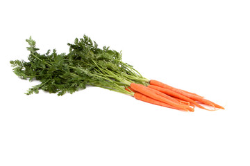 Fresh organic carrot