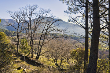 Obraz premium Sierra de Gredos