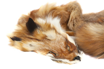 Fox fur