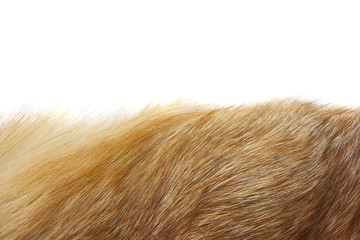 Red fox fur background texture