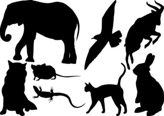 set of animals