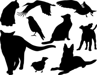 set of animals