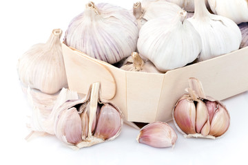 Barquette d'ail frais