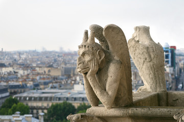Fototapeta premium Gargoyle of Notre Dame de Paris