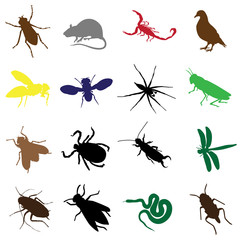 sixteen insects and rodents
