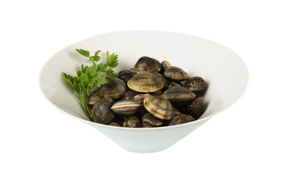 Piatto di vongole fresche