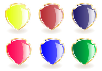 collection from shields