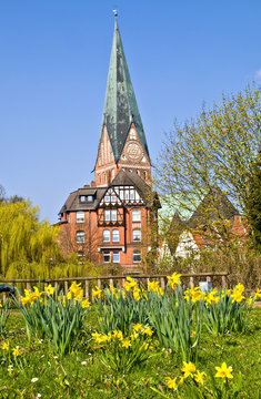 Hansestadt L&uuml;neburg St. Johannis im Fr&uuml;hling mit Osterglocken