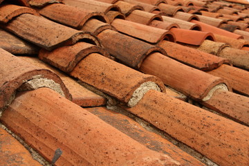Red roof tiles fading into the distance.