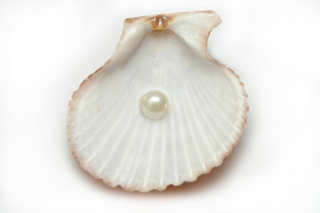 Shell with pearl