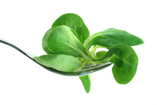 Feldsalat