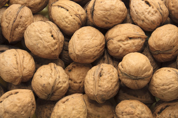 large Circassian walnuts