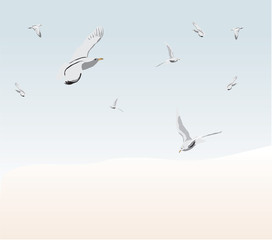 blue sky with flying birds