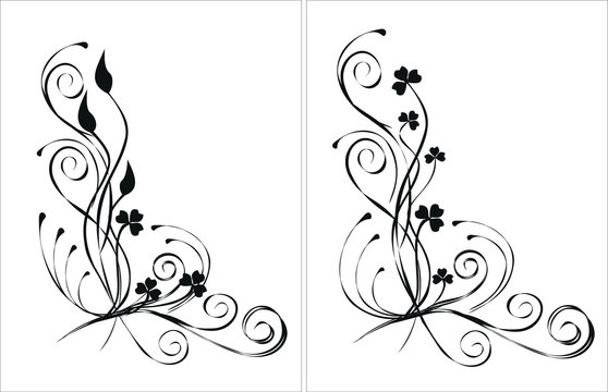 2 floral elements for design, vector