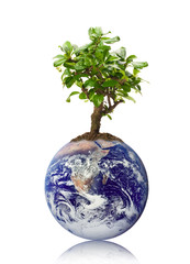 Klimaschutz