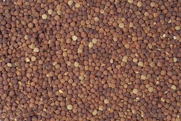 poured lentil