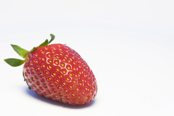 fresas2