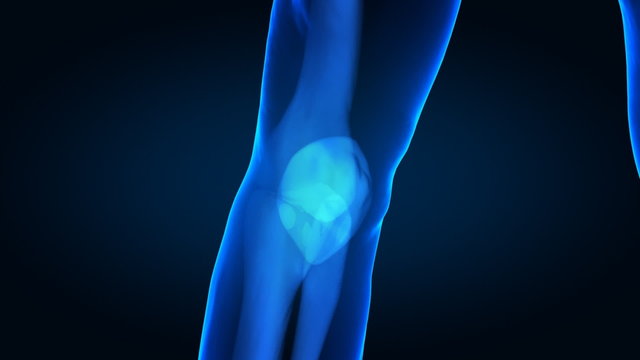 Focused on human knee - x-ray view with visible bones