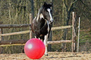 Winnetou mit Ball