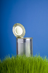 Metallic tin can on the grass