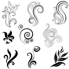 Set of leafs and plants design elements