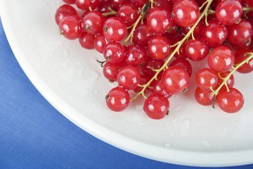 Red Currants