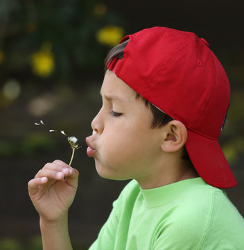 Young Boy Blowing Dandelion