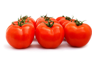 Tomatoes group