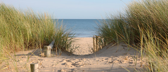 Panele Szklane  Ścieżka na plaży przez wydmy