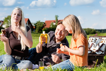 Fototapeta premium Family having picnic